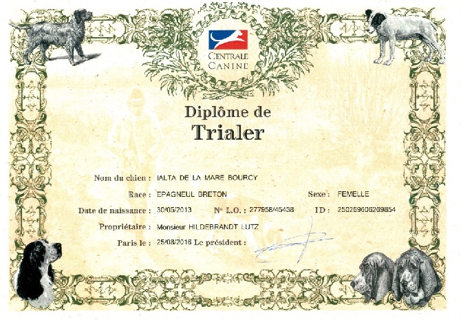 Diplôme pour IALTA