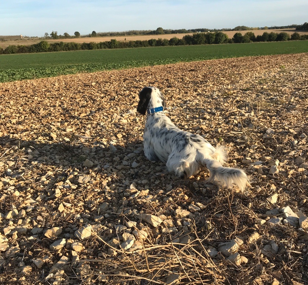 Entraînement Missy