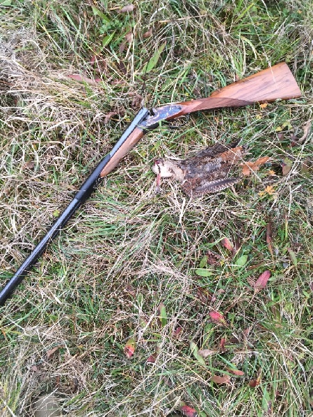Chasse