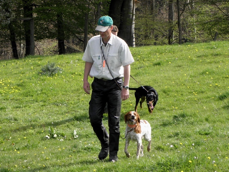 Mes Chiens